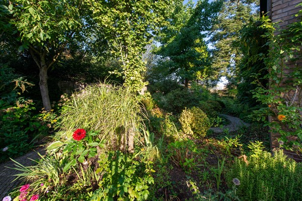 Medium property photo - Renatusdonk 7, 4707 XA Roosendaal